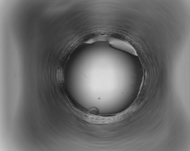 X0000115540048200911131553