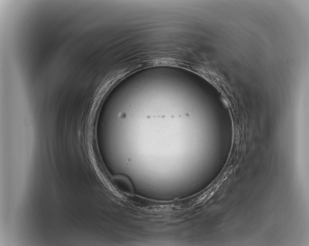 X0000115540049200911131552