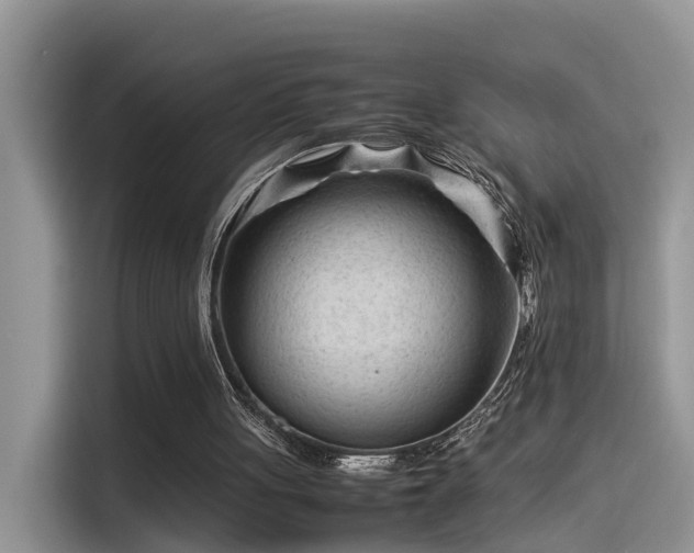 X0000115540051200911131552