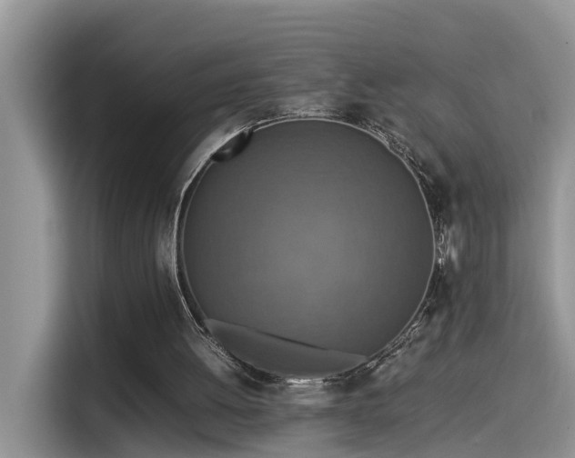 X0000115540052200911131552