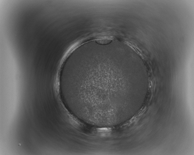 X0000115540053200911131552