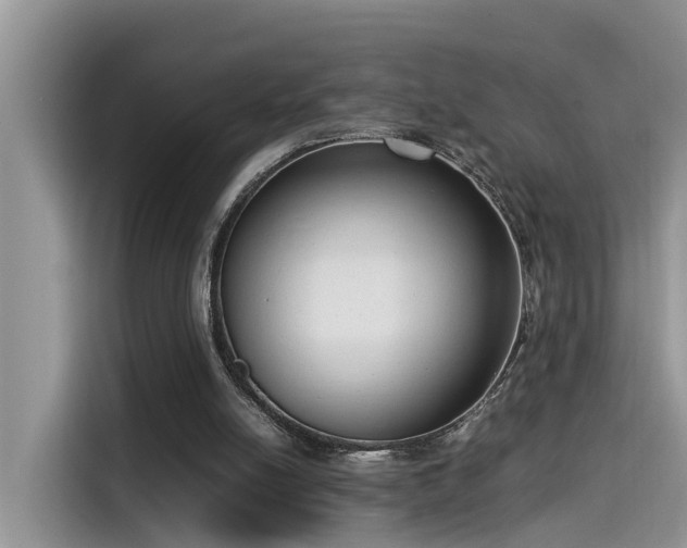 X0000115540054200911131552