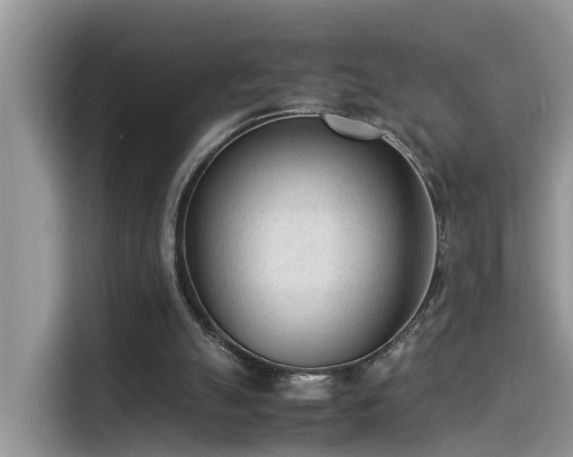 X0000115540055200911131552