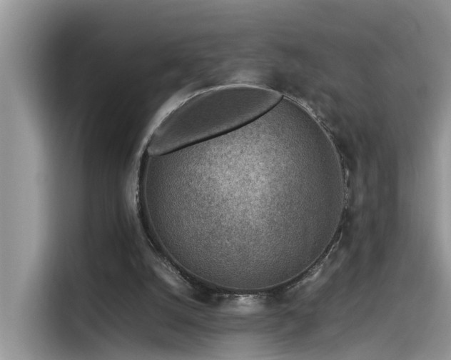 X0000115540056200911131552