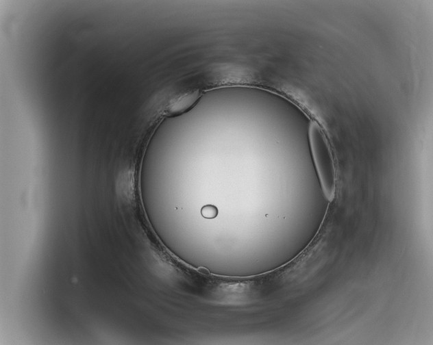 X0000115540057200911131552