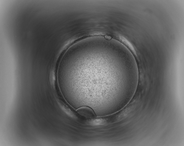 X0000115540059200911131552