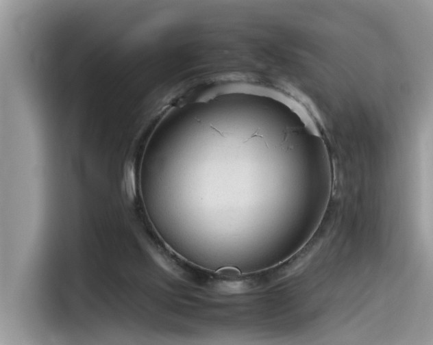 X0000115540061200911131552