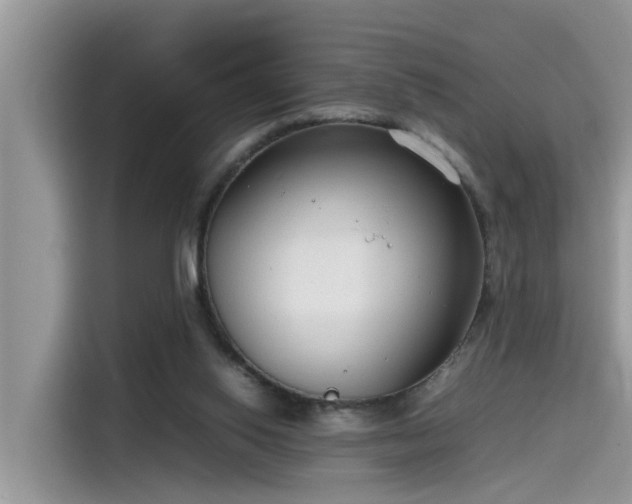 X0000115540062200911131552