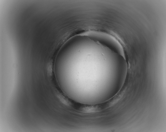 X0000115540065200911131552