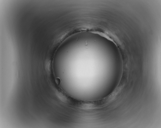 X0000115540066200911131552