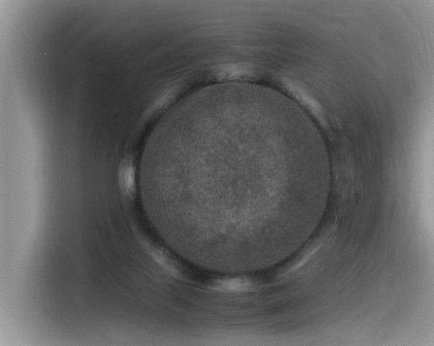 X0000115540067200911131552