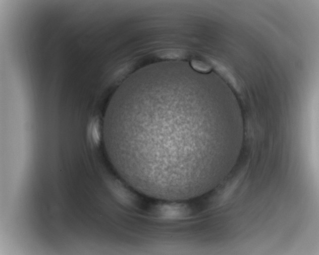 X0000115540069200911131552