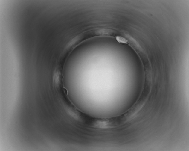 X0000115540071200911131552