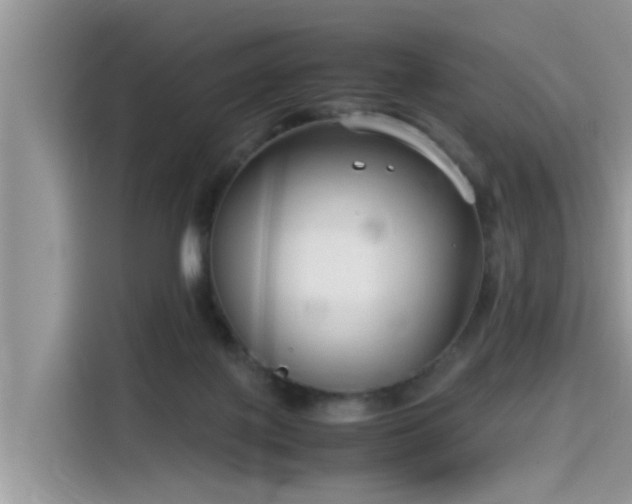 X0000115540075200911131552