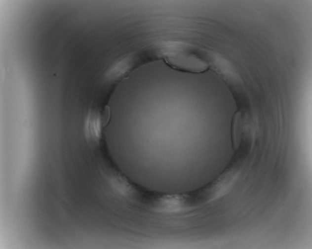 X0000115540076200911131552