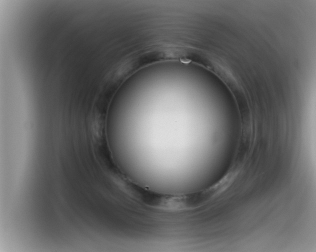 X0000115540078200911131552