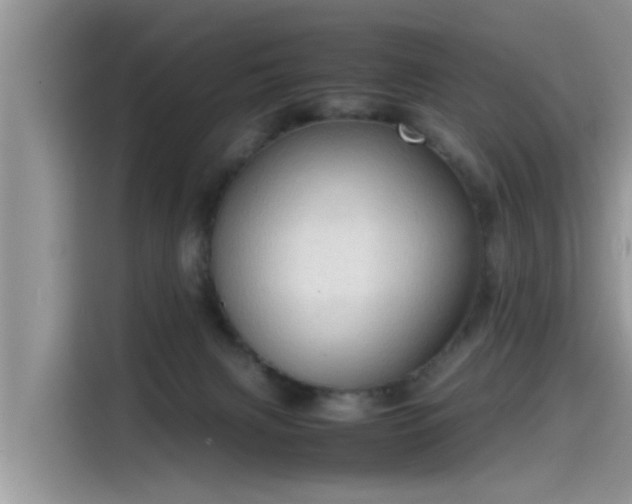 X0000115540079200911131552