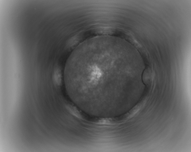 X0000115540080200911131552