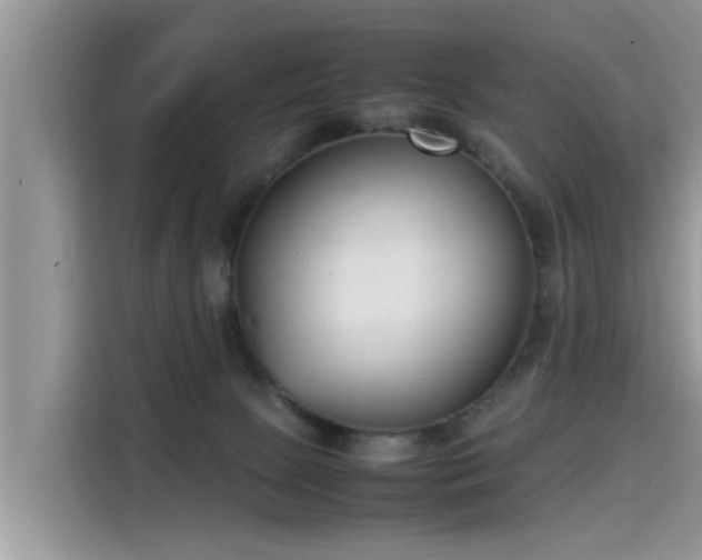 X0000115540081200911131552