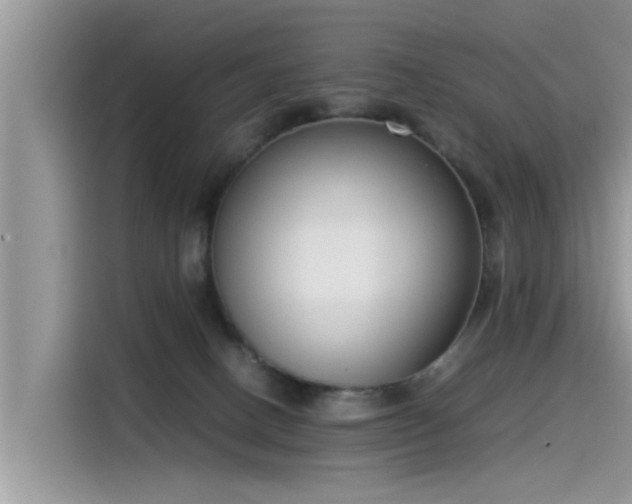 X0000115540082200911131552