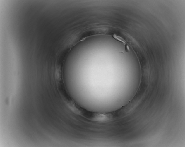 X0000115540083200911131553