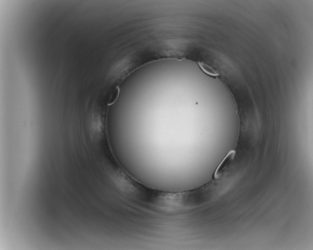 X0000115540084200911131553