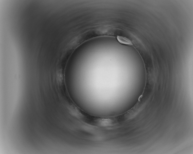 X0000115540085200911131553