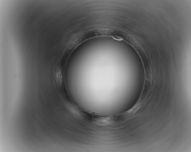 X0000115540086200911131553