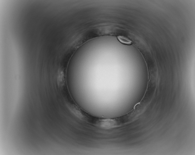 X0000115540087200911131553