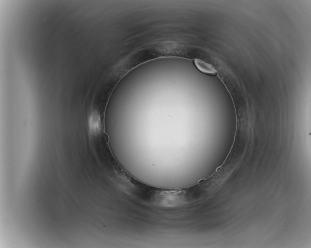 X0000115540089200911131553