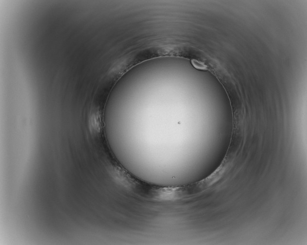 X0000115540090200911131553