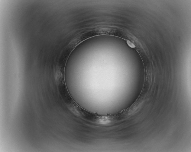 X0000115540091200911131553