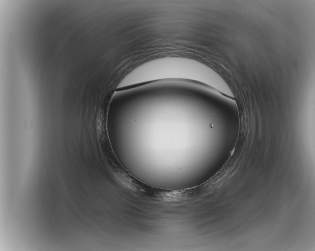 X0000115540092200911131553