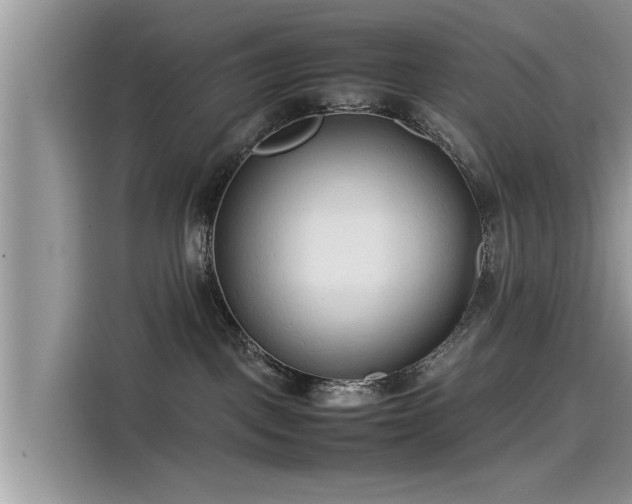 X0000115540093200911131553