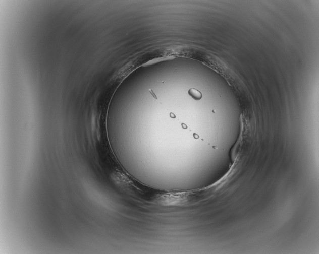 X0000115540094200911131553