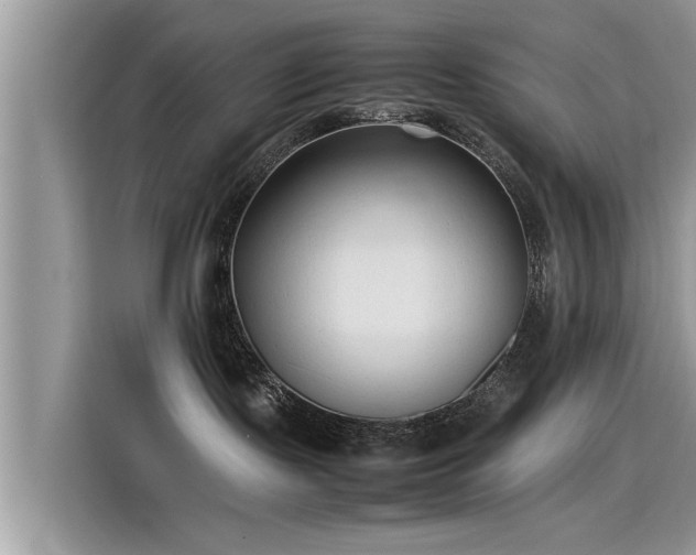 X0000115540095200911131553