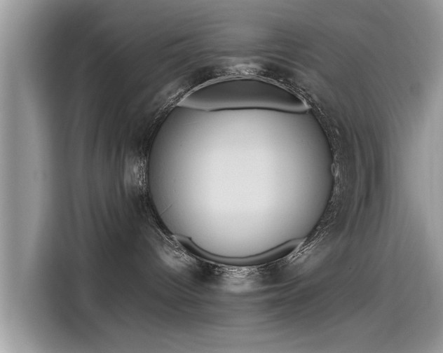 X0000115540096200911131553