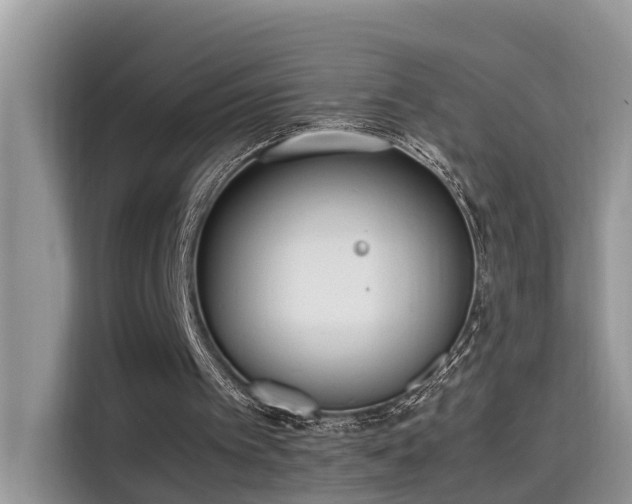 X0000115540097200911131552