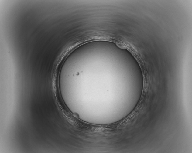 X0000115540098200911131552