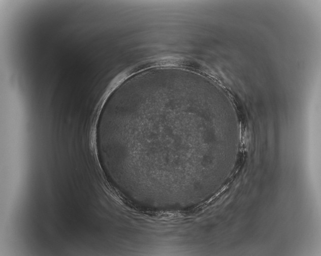 X0000115540099200911131552