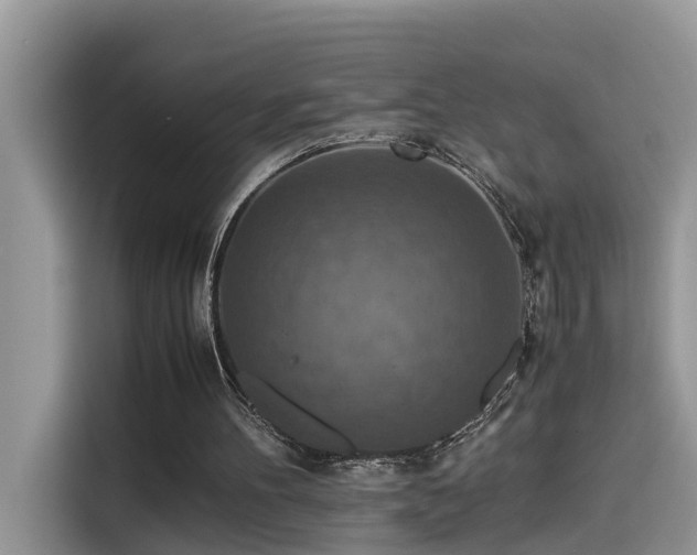 X0000115540100200911131552