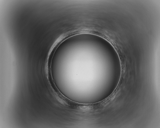 X0000115540102200911131552