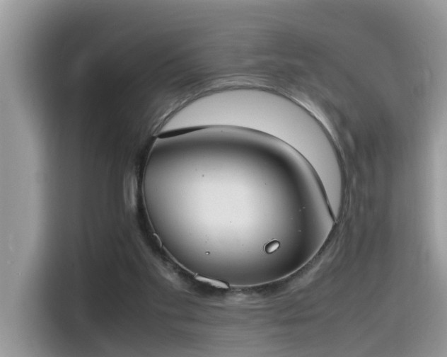 X0000115540109200911131552