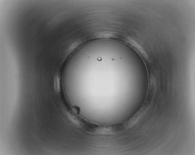 X0000115540110200911131552