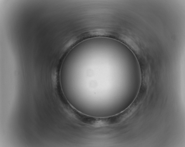 X0000115540111200911131552