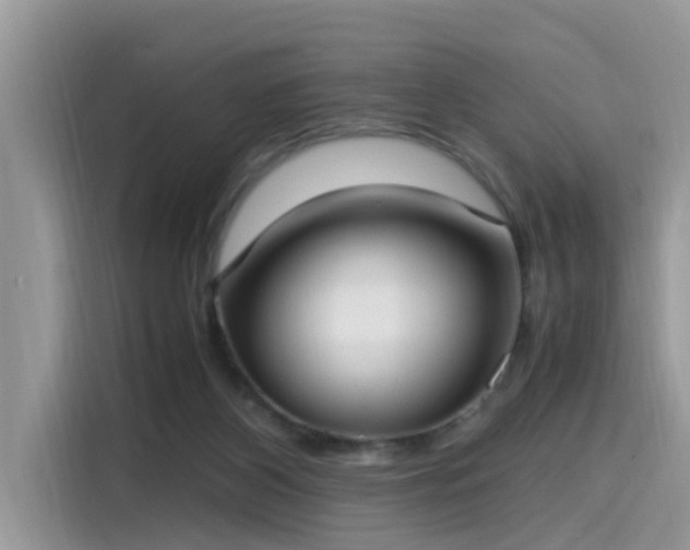 X0000115540116200911131552