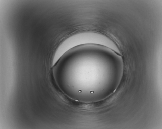 X0000115540117200911131552