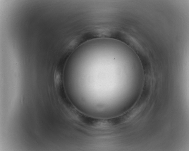 X0000115540123200911131552