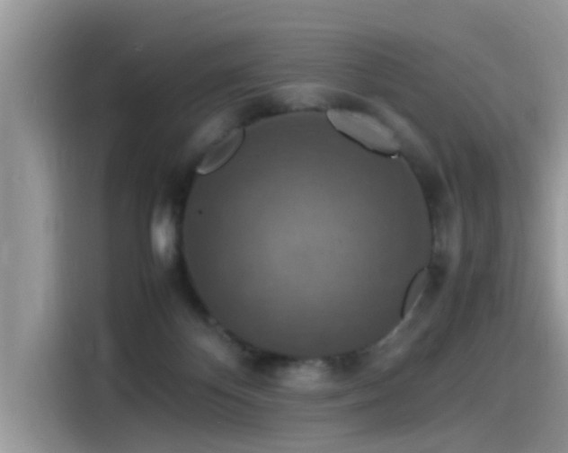 X0000115540124200911131552