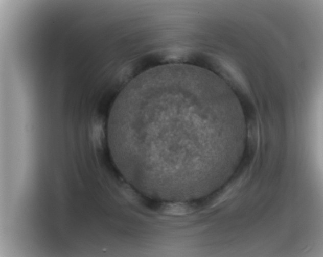 X0000115540127200911131552